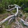 herzogstand-05-13-10